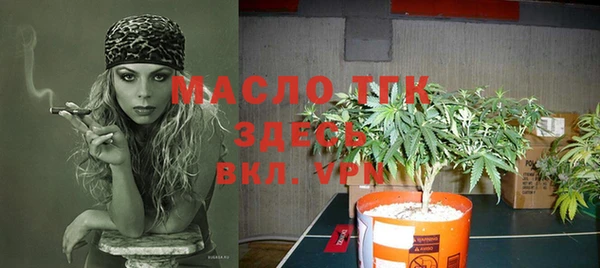 прущая мука Арсеньев